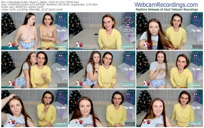 2025/01/03/chaturbate-_adeell_-17-36-44