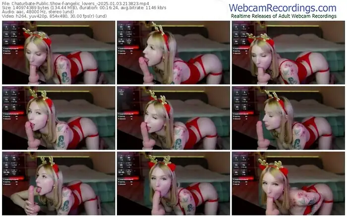 2025/01/03/chaturbate-angelic_lovers_-21-38-23