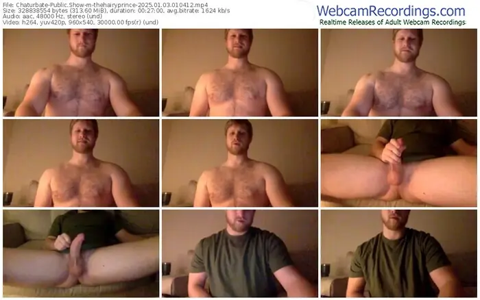 2025/01/03/chaturbate-thehairyprince-01-04-12