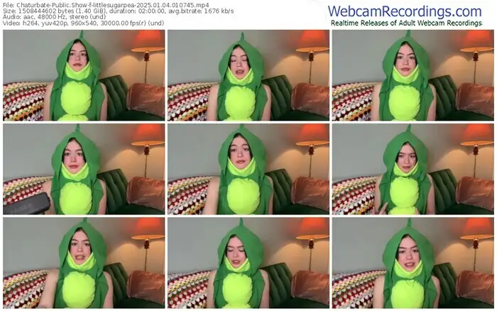 2025/01/04/chaturbate-littlesugarpea-01-07-45