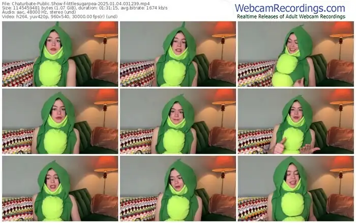 2025/01/04/chaturbate-littlesugarpea-03-12-39