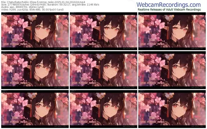 2025/01/04/chaturbate-ronnie_neko-20-19-24