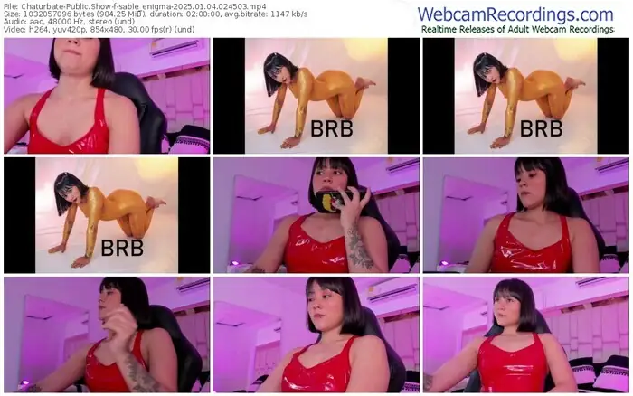 2025/01/04/chaturbate-sable_enigma-02-45-03