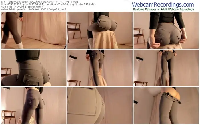2025/01/05/chaturbate-hee_jeen-15-21-11