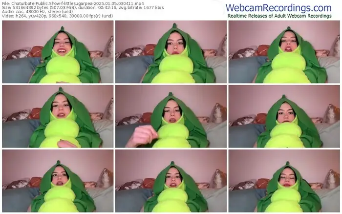 2025/01/05/chaturbate-littlesugarpea-03-04-11