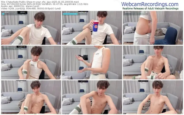 2025/01/05/chaturbate-your_shy_guy-20-09-34