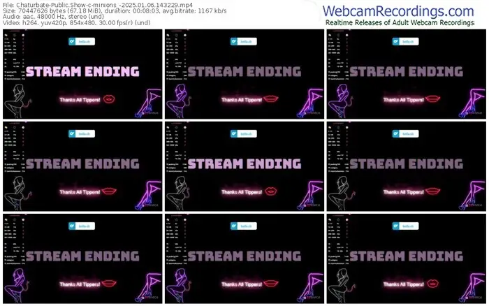 2025/01/06/chaturbate-minions_-14-32-29