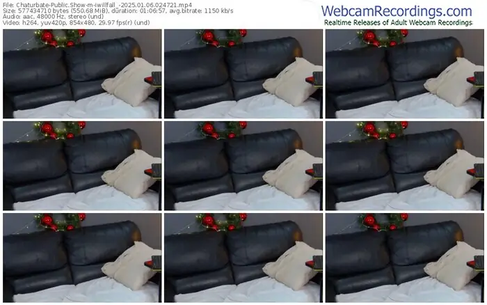 2025/01/06/chaturbate-iwillfall_-02-47-21