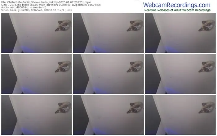 2025/01/07/chaturbate-hello_imkitty-23-22-51