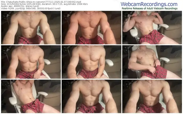 2025/01/07/chaturbate-cameron777111-04-04-42