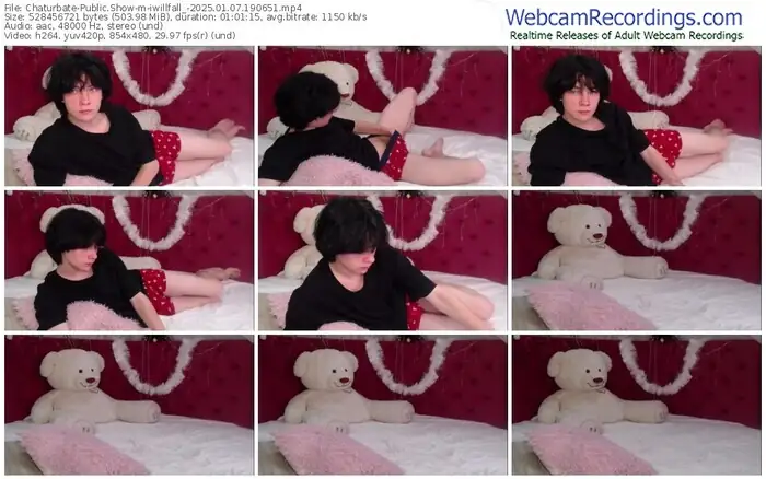 2025/01/07/chaturbate-iwillfall_-19-06-51