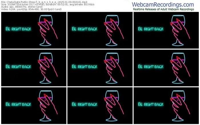 2025/01/09/chaturbate-_b_a_n_s_h_e_e_-00-41-41