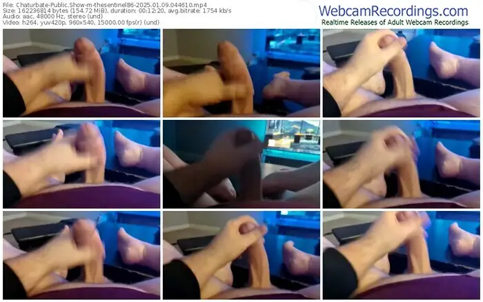 2025/01/09/chaturbate-thesentinel86-04-46-10