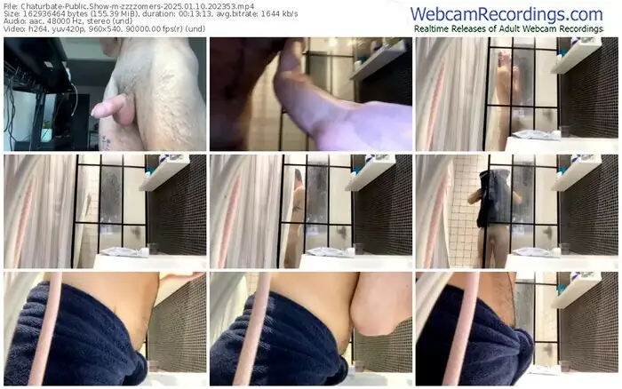 2025/01/10/chaturbate-zzzzomers-20-23-53
