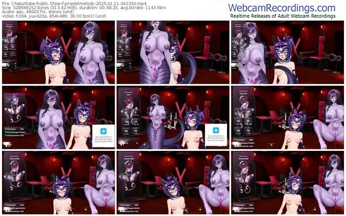 2025/01/11/chaturbate-projektmelody-04-23-30