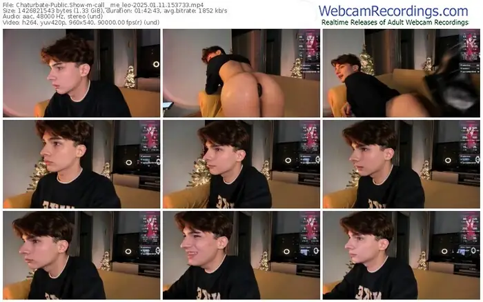 2025/01/11/chaturbate-call__me_leo-15-37-33