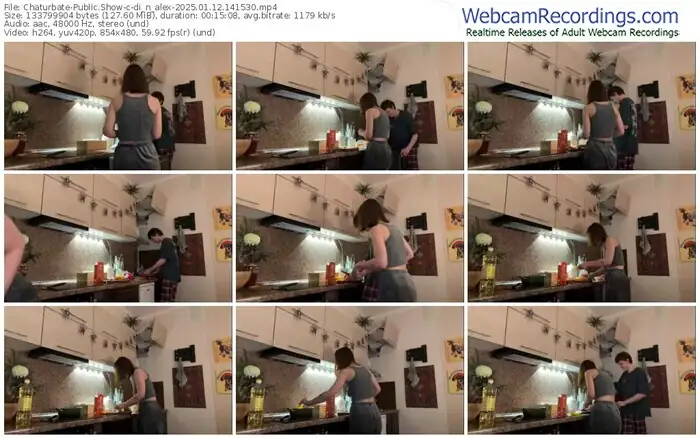 2025/01/12/chaturbate-di_n_alex-14-15-30