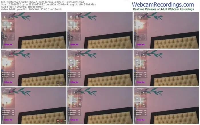 2025/01/12/chaturbate-_miss_hinata_-20-47-23