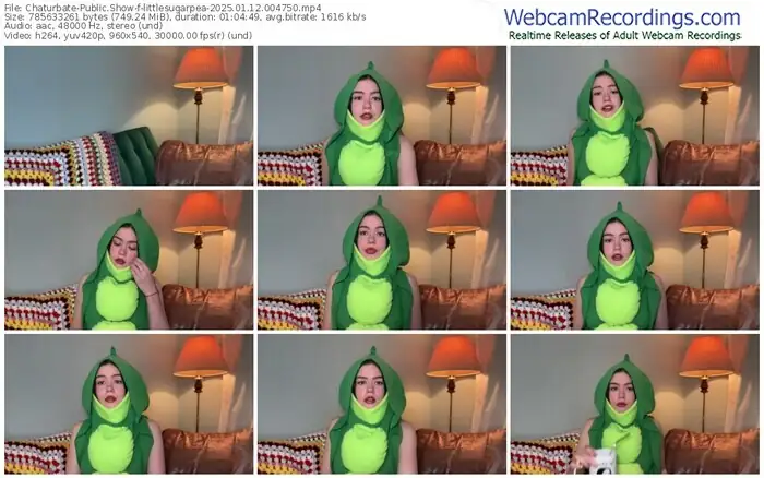 2025/01/12/chaturbate-littlesugarpea-00-47-50