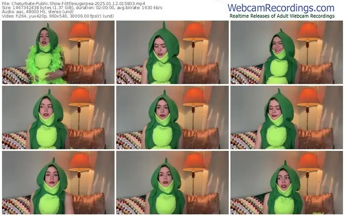 2025/01/12/chaturbate-littlesugarpea-01-58-03