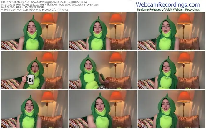 2025/01/12/chaturbate-littlesugarpea-04-02-56