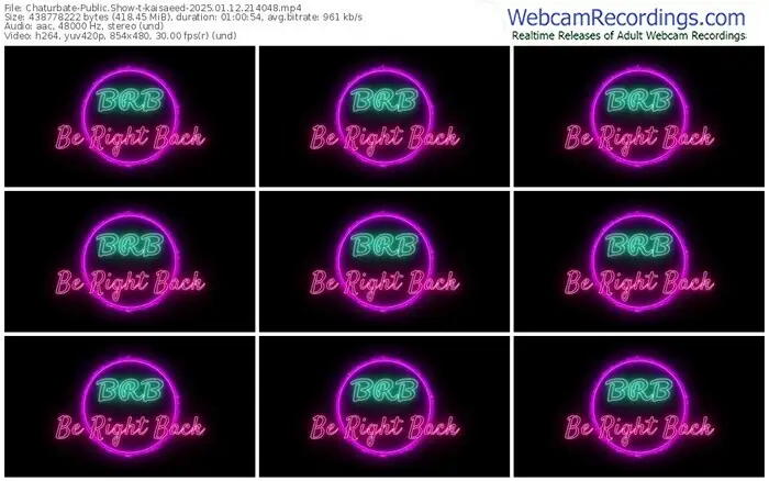 2025/01/12/chaturbate-kaisaeed-21-40-48