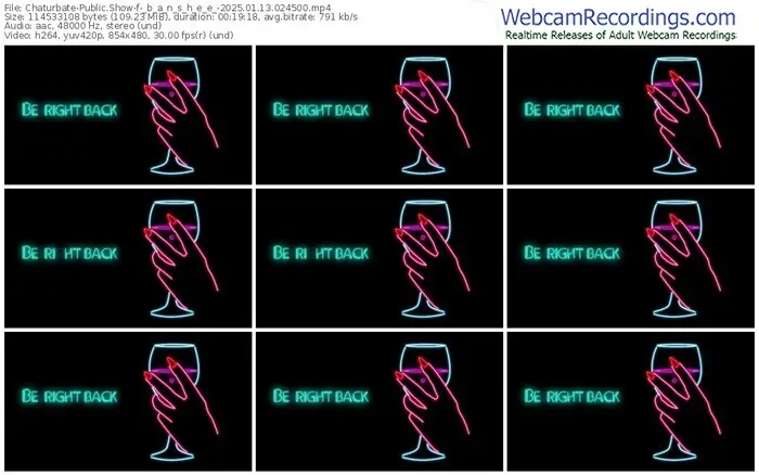 2025/01/13/chaturbate-_b_a_n_s_h_e_e_-02-45-00
