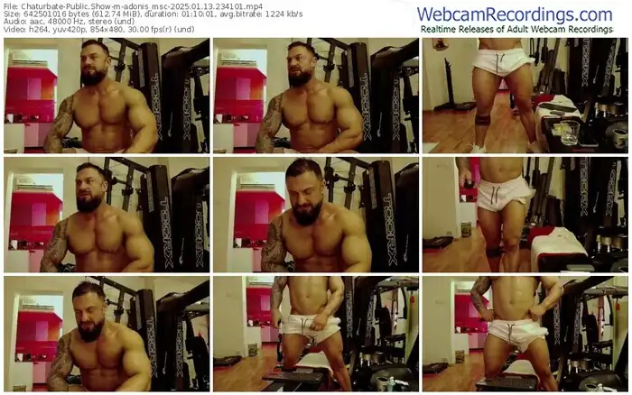 2025/01/13/chaturbate-adonis_msc-23-41-01
