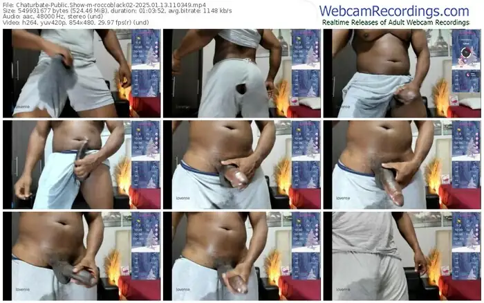 2025/01/13/chaturbate-roccoblack02-11-03-49