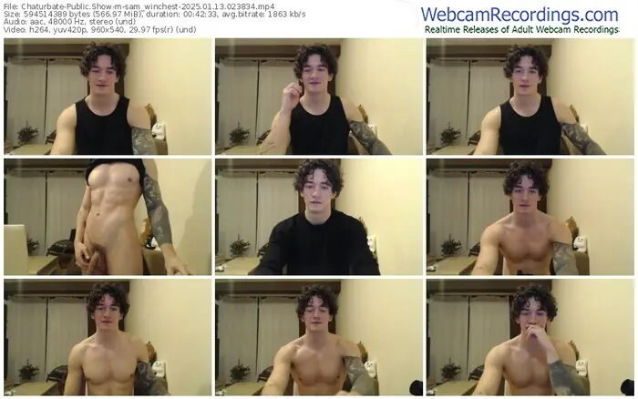 2025/01/13/chaturbate-sam_winchest-02-38-34