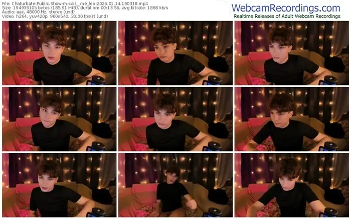 2025/01/14/chaturbate-call__me_leo-19-03-18