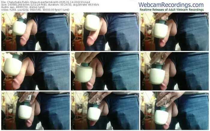 2025/01/14/chaturbate-perfectdick00-20-02-33