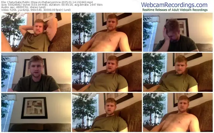 2025/01/14/chaturbate-thehairyprince-19-24-42