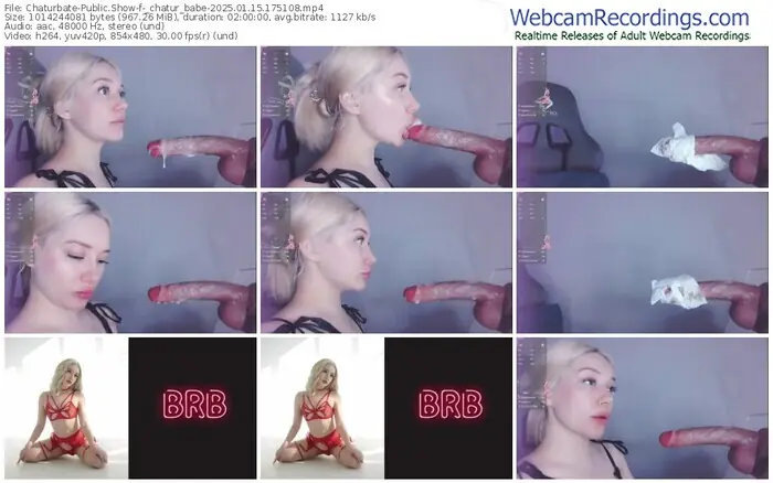 2025/01/15/chaturbate-_chatur_babe-17-51-08
