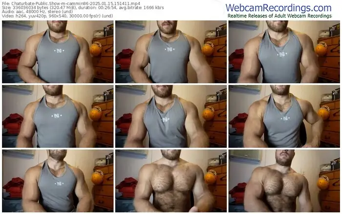 2025/01/15/chaturbate-cammin86-15-14-11