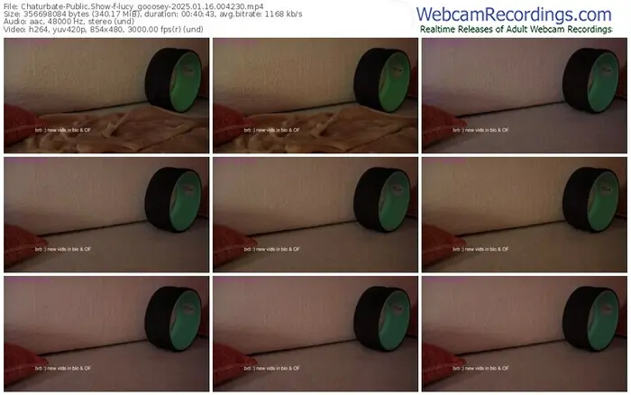 2025/01/16/chaturbate-lucy_gooosey-00-42-30