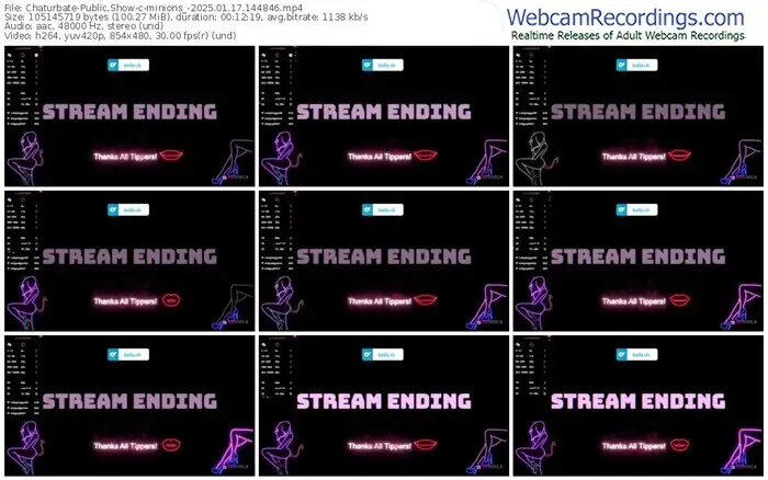 2025/01/17/chaturbate-minions_-14-48-46