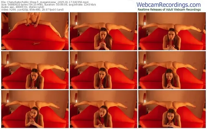 2025/01/17/chaturbate-_meganmeow_-04-23-56