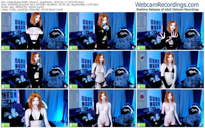 2025/01/17/chaturbate-_sparkland_-22-27-00