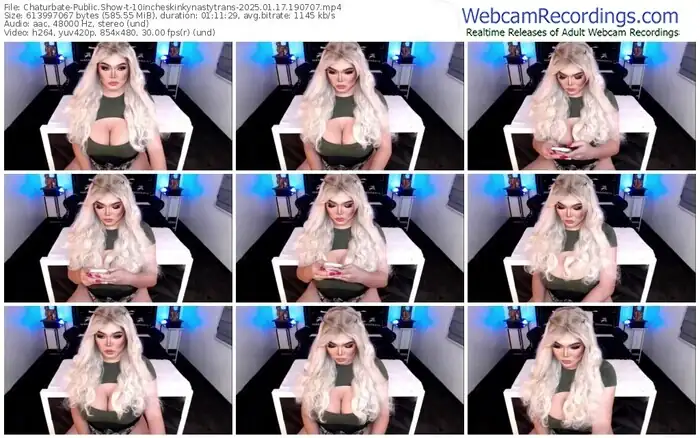 2025/01/17/chaturbate-10incheskinkynastytrans-19-07-07