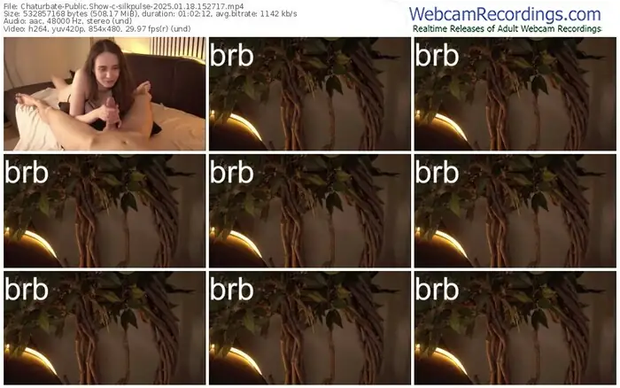 2025/01/18/chaturbate-silkpulse-15-27-17