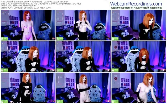 2025/01/18/chaturbate-_sparkland_-00-56-54