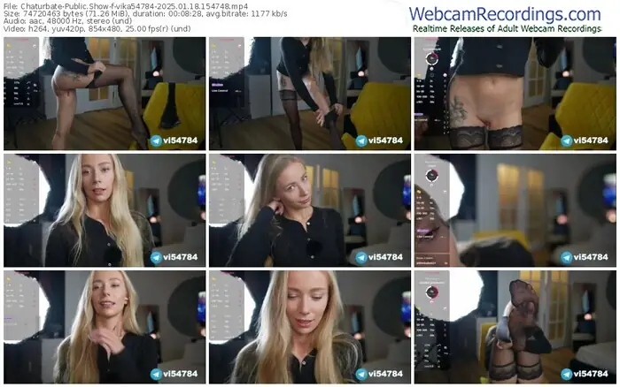 2025/01/18/chaturbate-vika54784-15-47-48