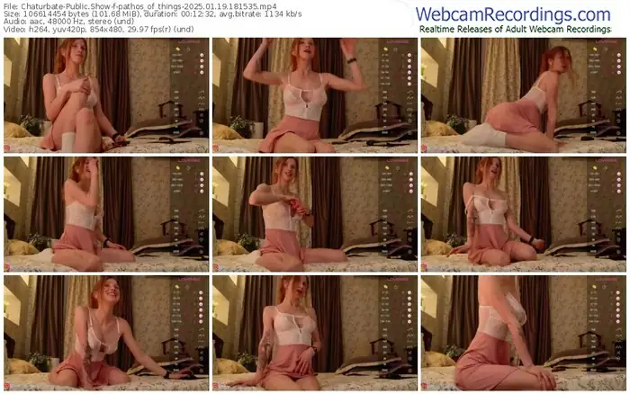 2025/01/19/chaturbate-pathos_of_things-18-15-35
