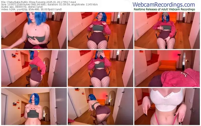 2025/01/20/chaturbate-vixenp-17-55-17
