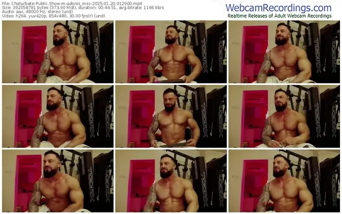 2025/01/20/chaturbate-adonis_msc-01-29-00