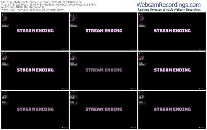 2025/01/21/chaturbate-minions_-14-34-00