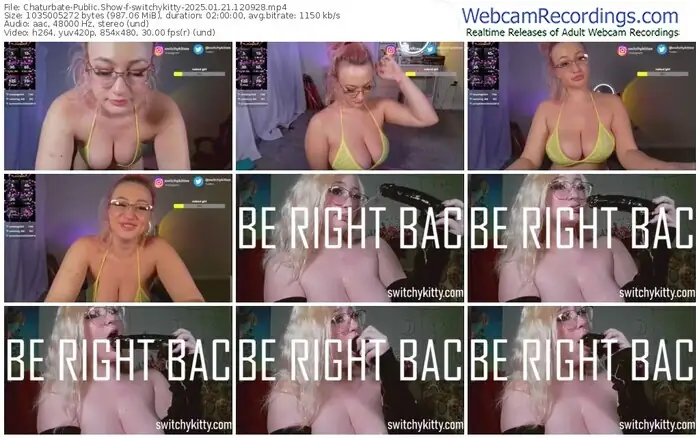 2025/01/21/chaturbate-switchykitty-12-09-28