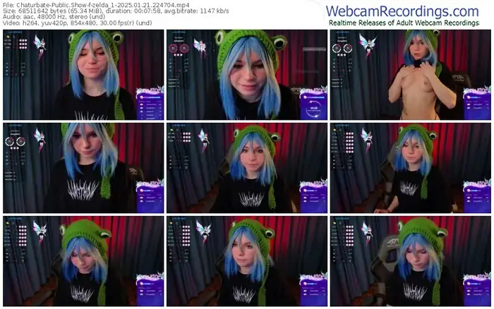 2025/01/21/chaturbate-zelda_1-22-47-04