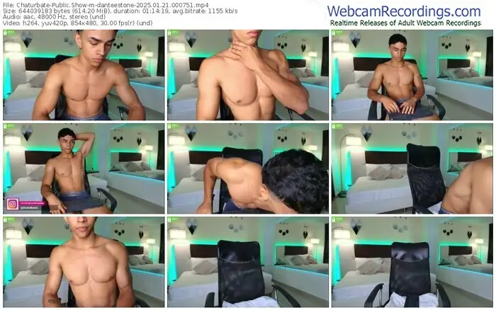 2025/01/21/chaturbate-danteestone-00-07-51